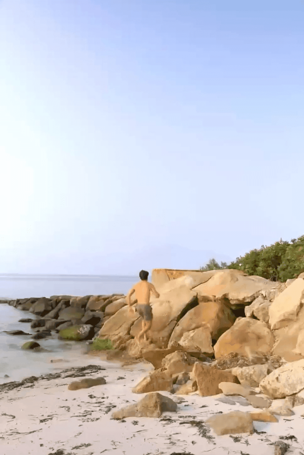 Nervous system cleanse