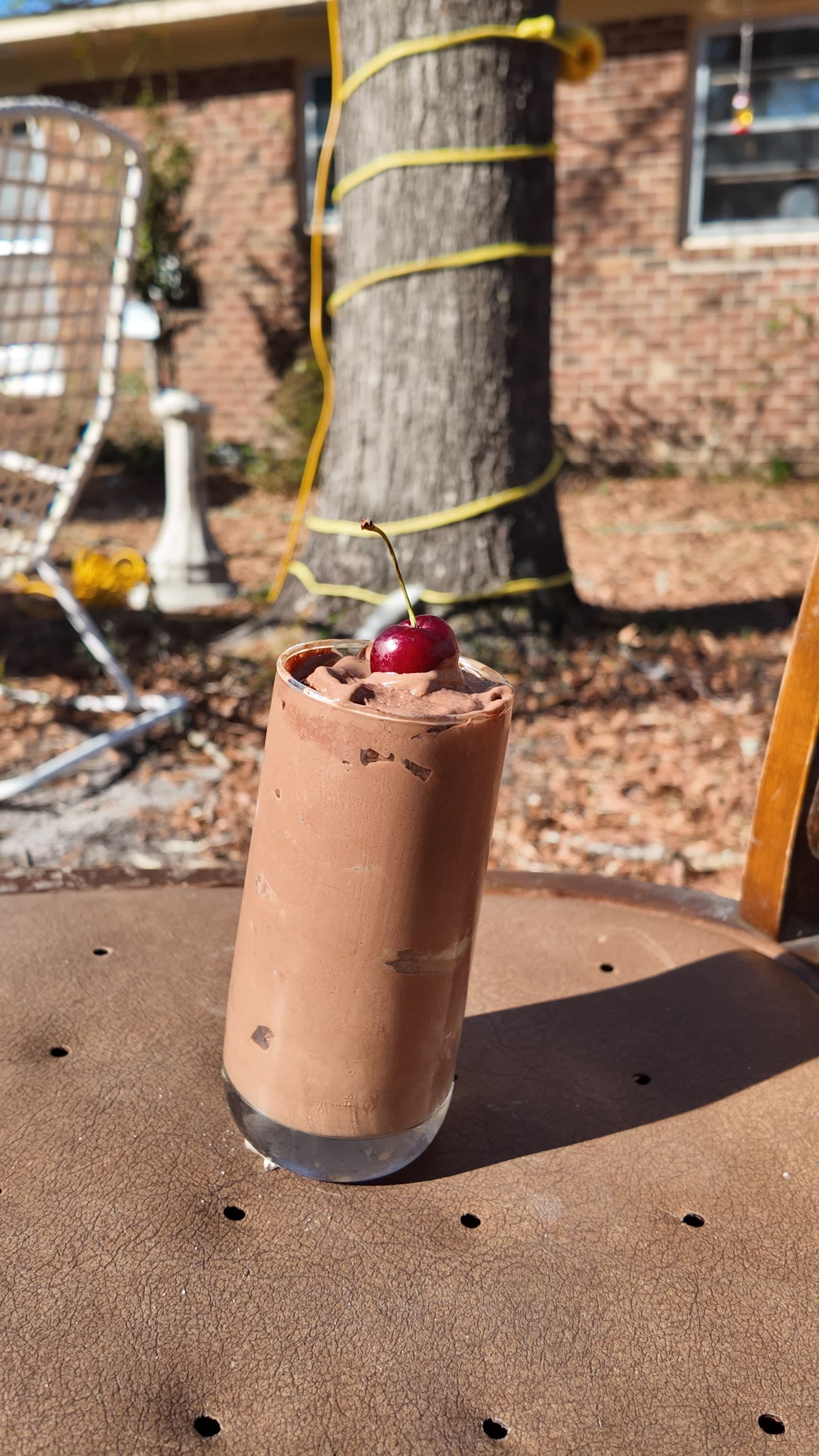 Healthy Chocolate Milkshake/Protein Shake