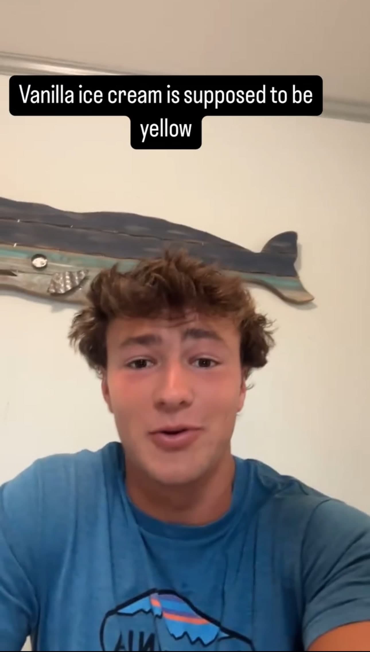 Vanilla ice cream white or yellow?