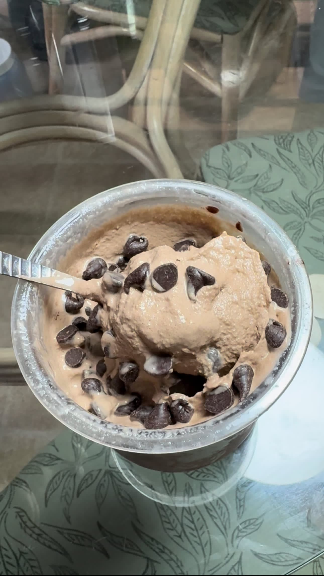 Chocolate Chip Ice Cream