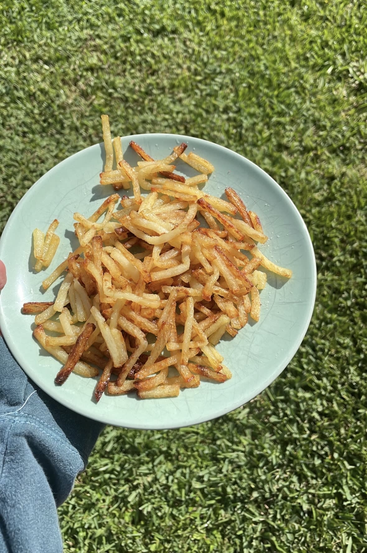 healthy fries