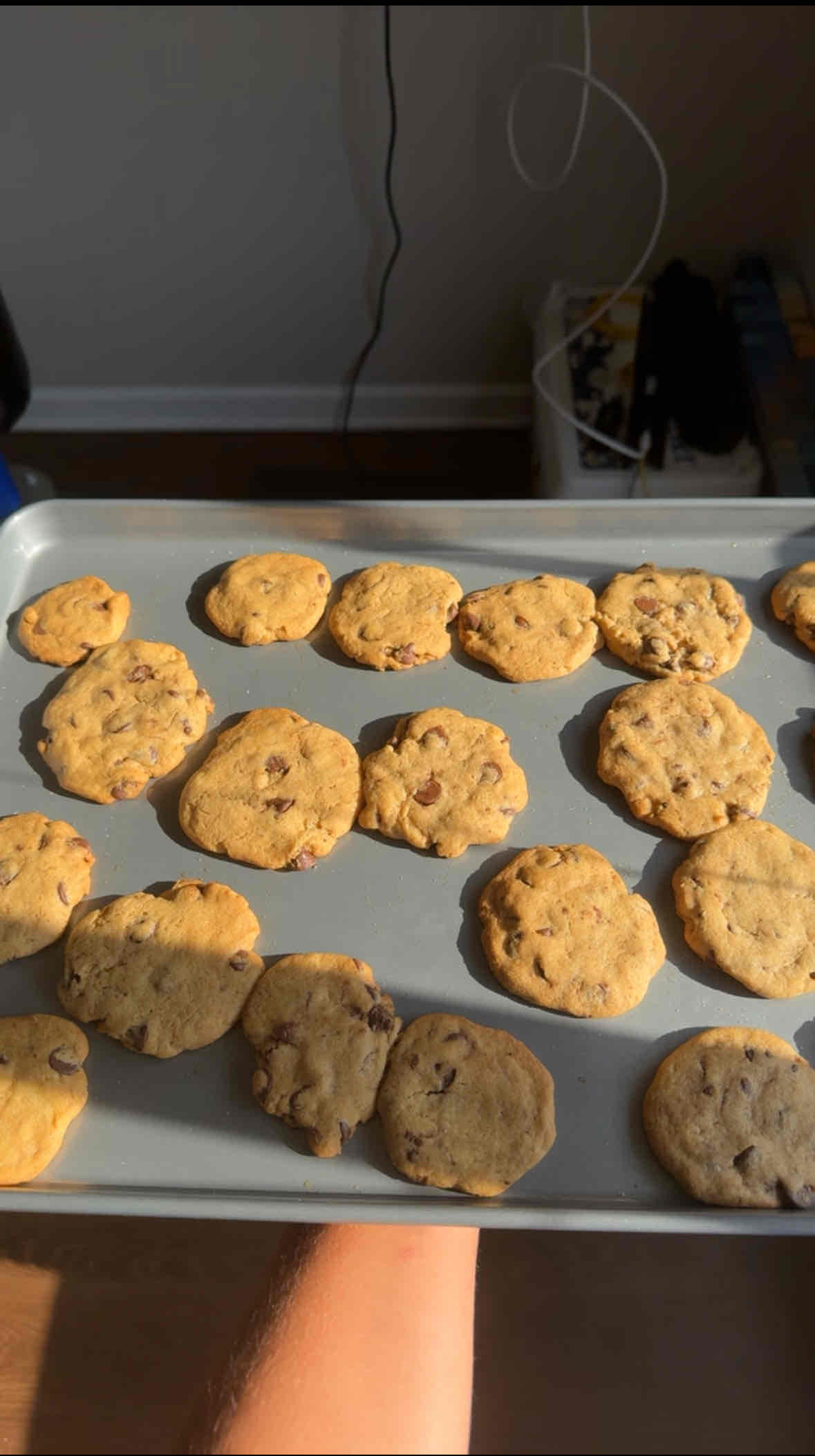 Chocolate Chip Cookies