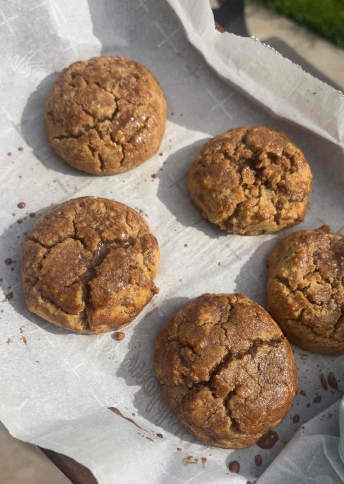 Snicker doodle cookies