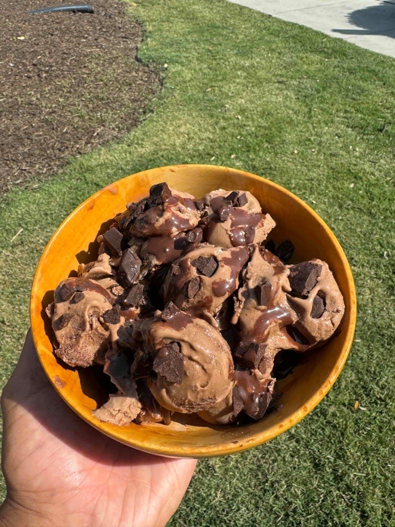 Double Chocolate Chip Ice Cream