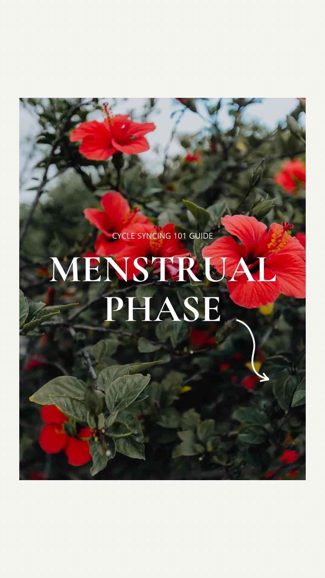 Cycle Syncing Guides