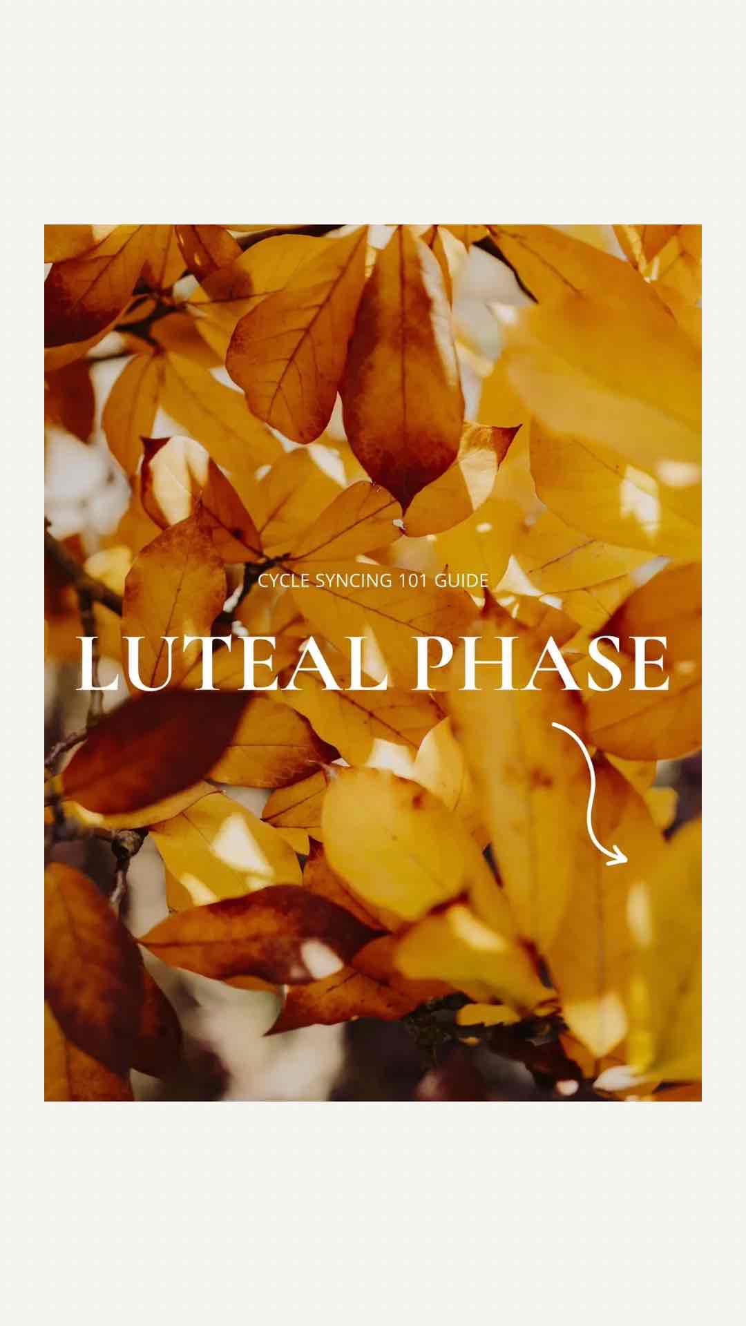 Cycle Syncing Guides