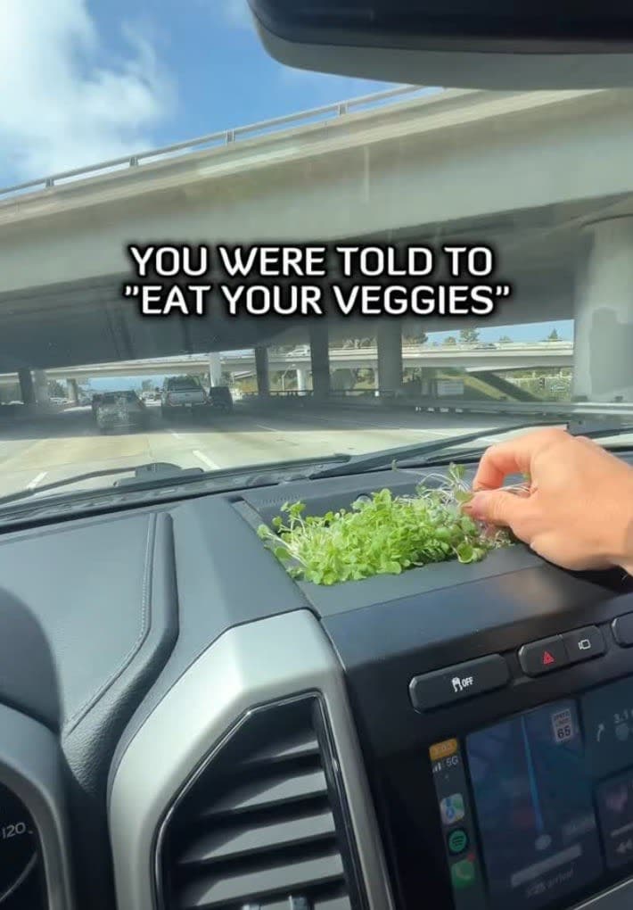 “Eat Your Veggies”