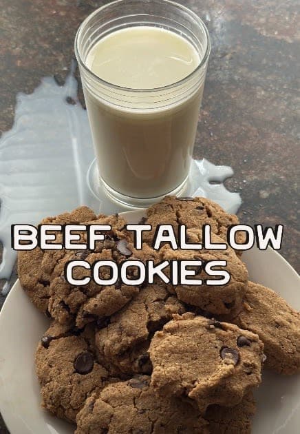 Beef Tallow Cookies