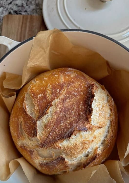 Sourdough Starter