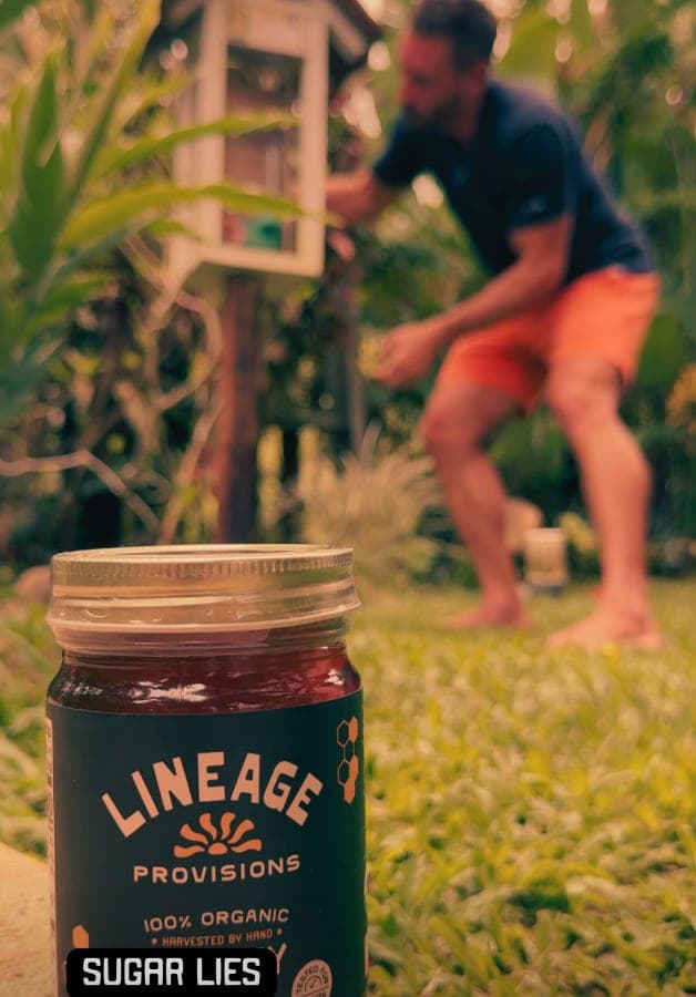 The Truth About Sugar