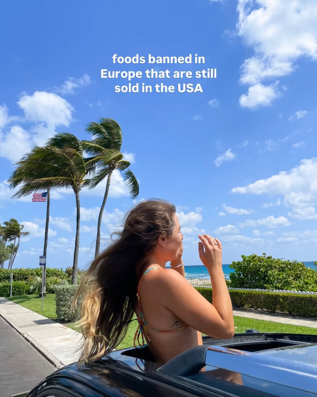 foods banned in europe
