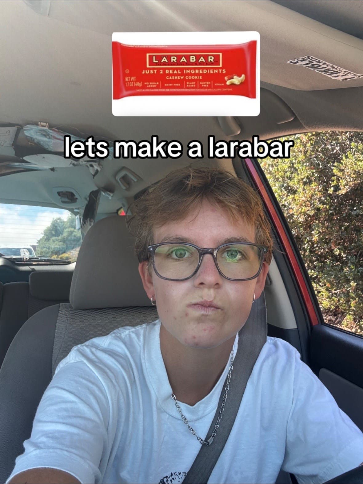 homemade larabars