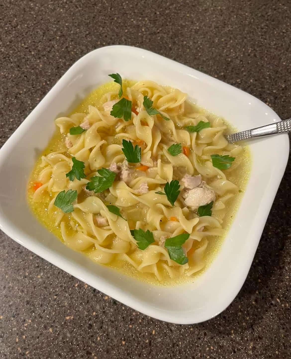 Chicken Noodle Soup