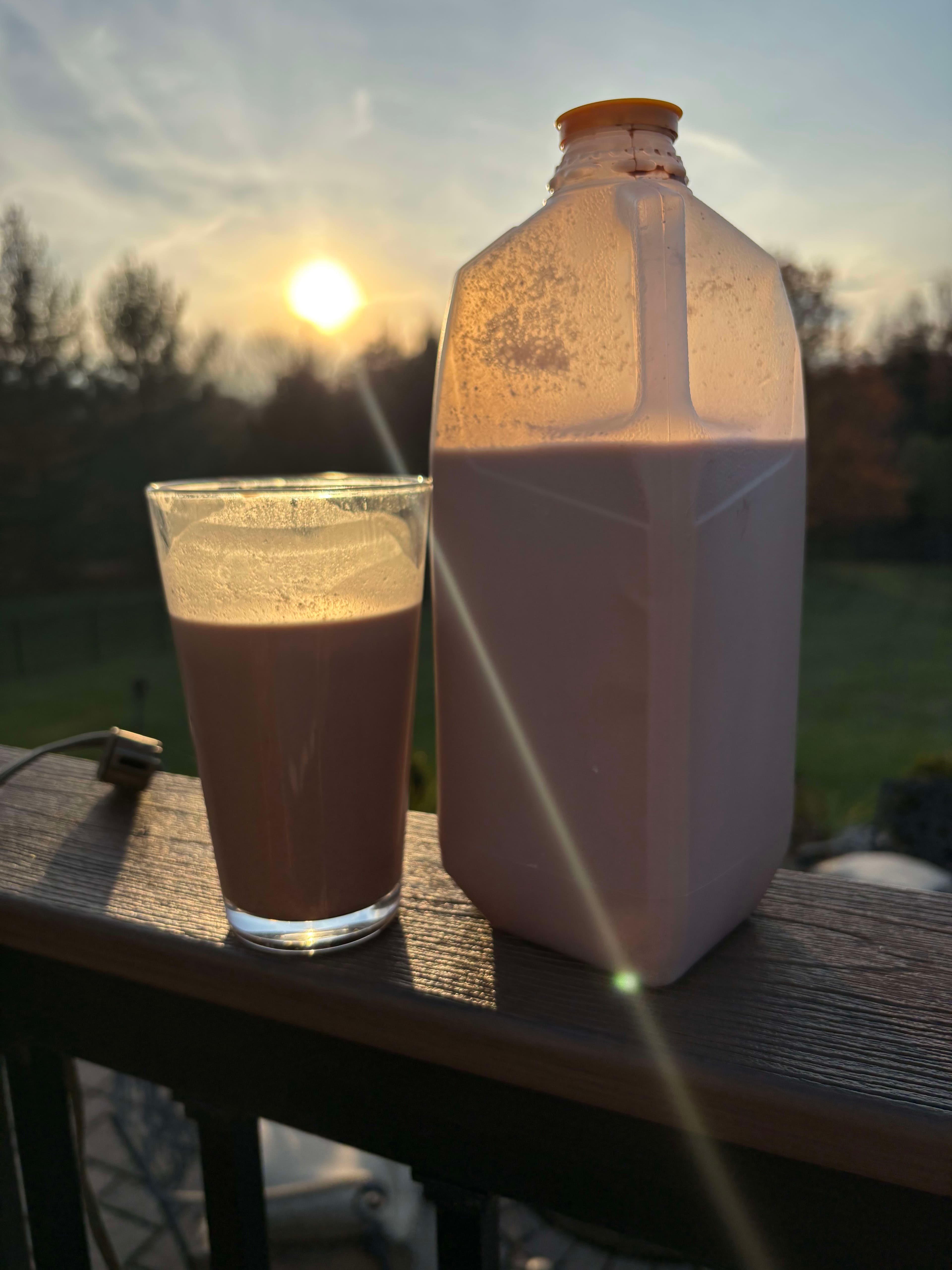 Raw Chocolate milk