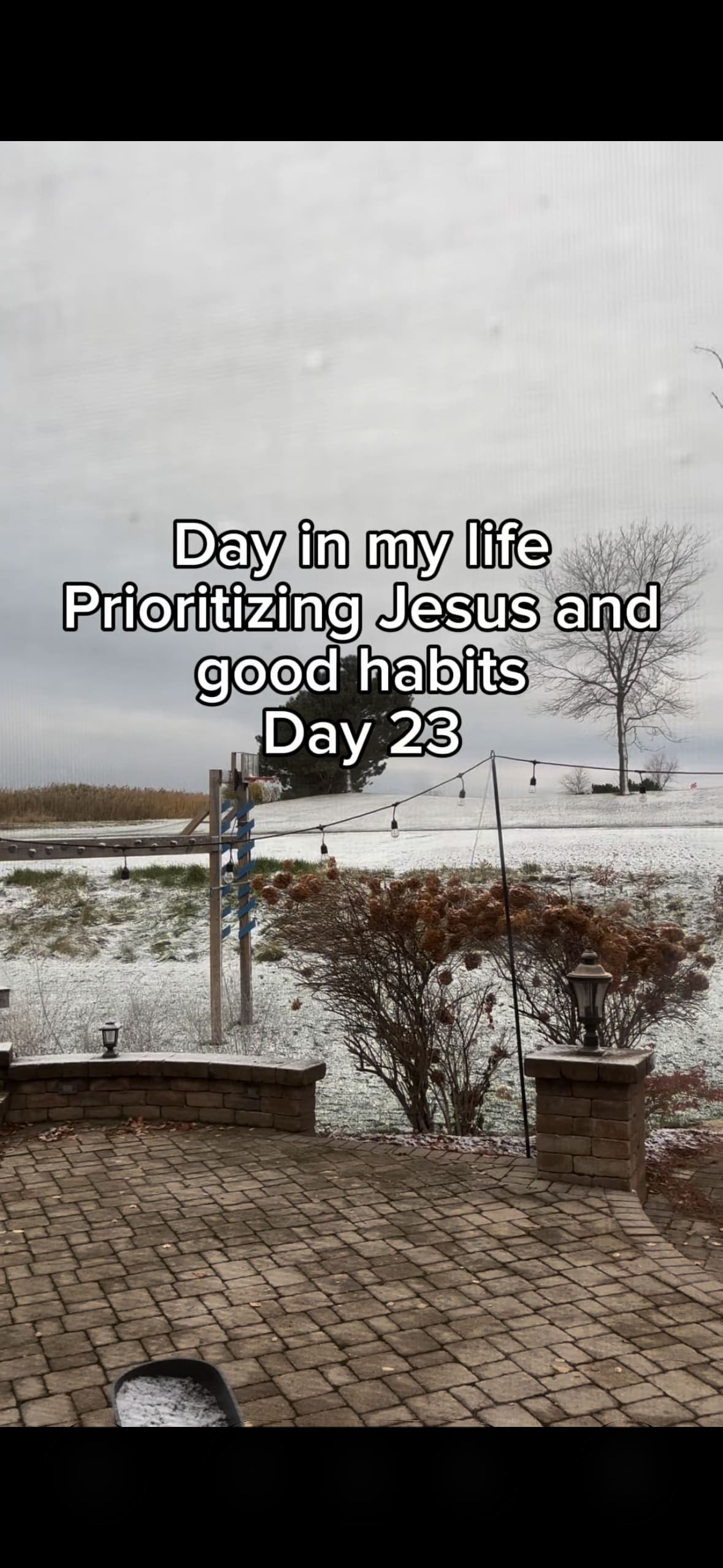 Day 23