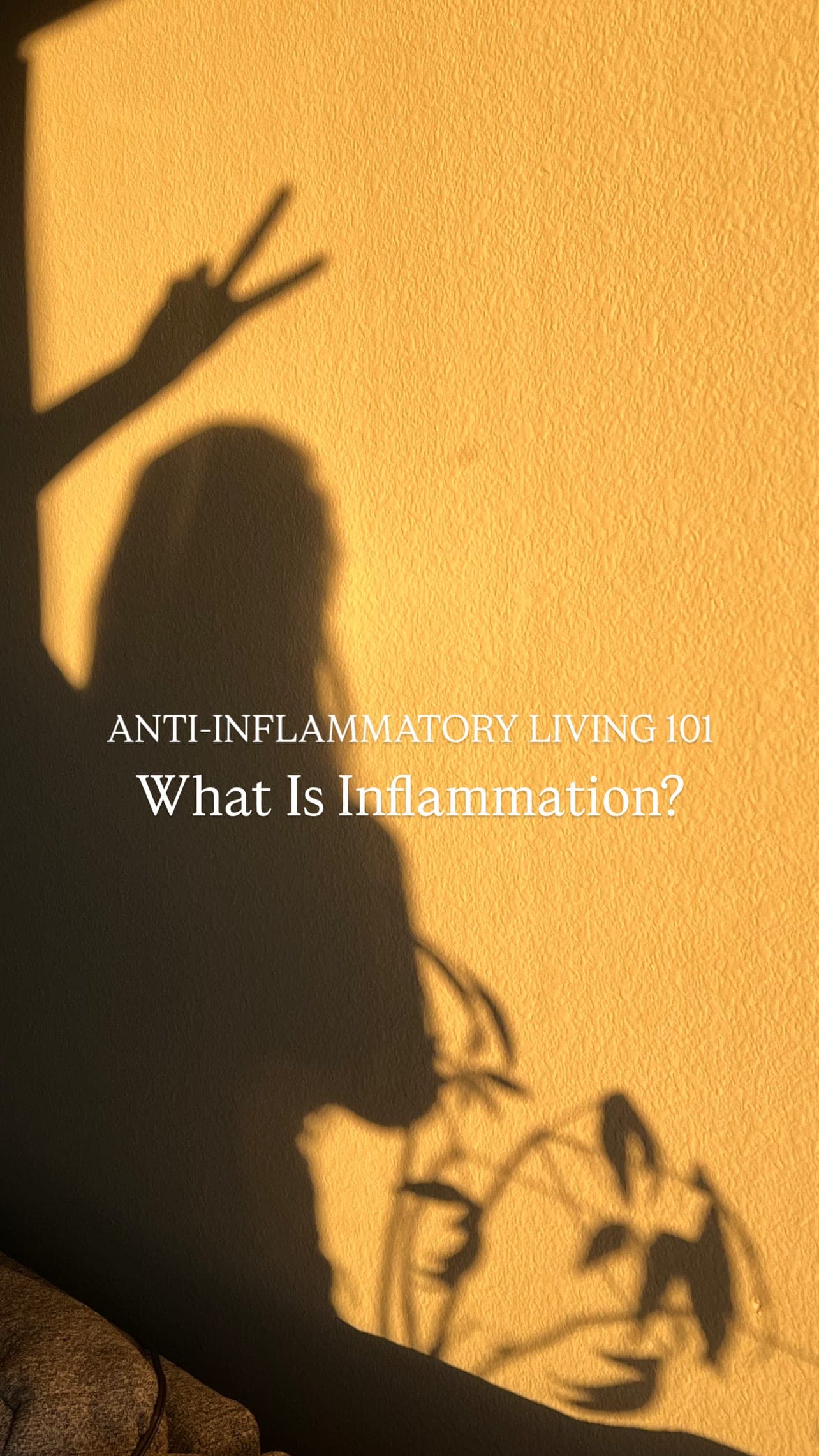Anti-Inflammatory Living 101