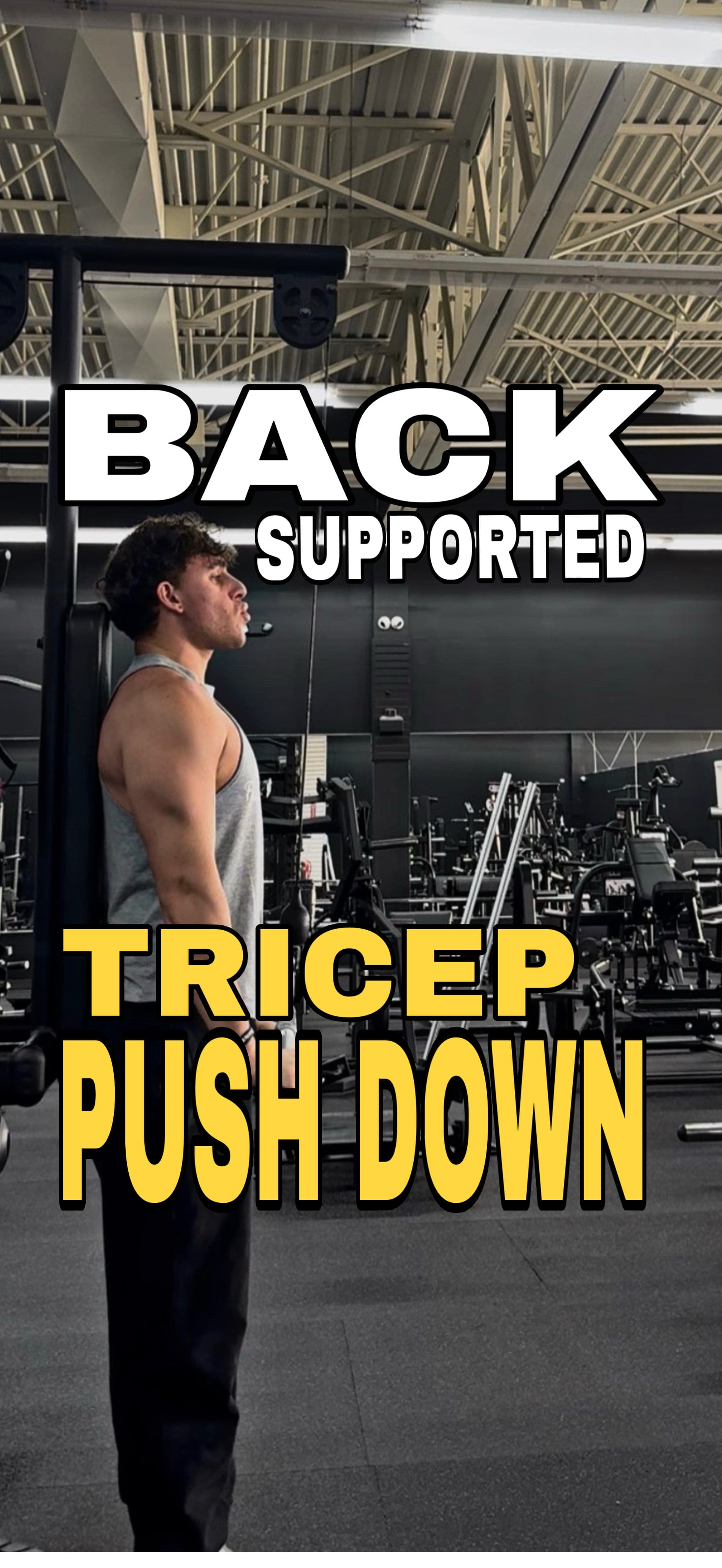 Back Supported Triceps Pushdowns