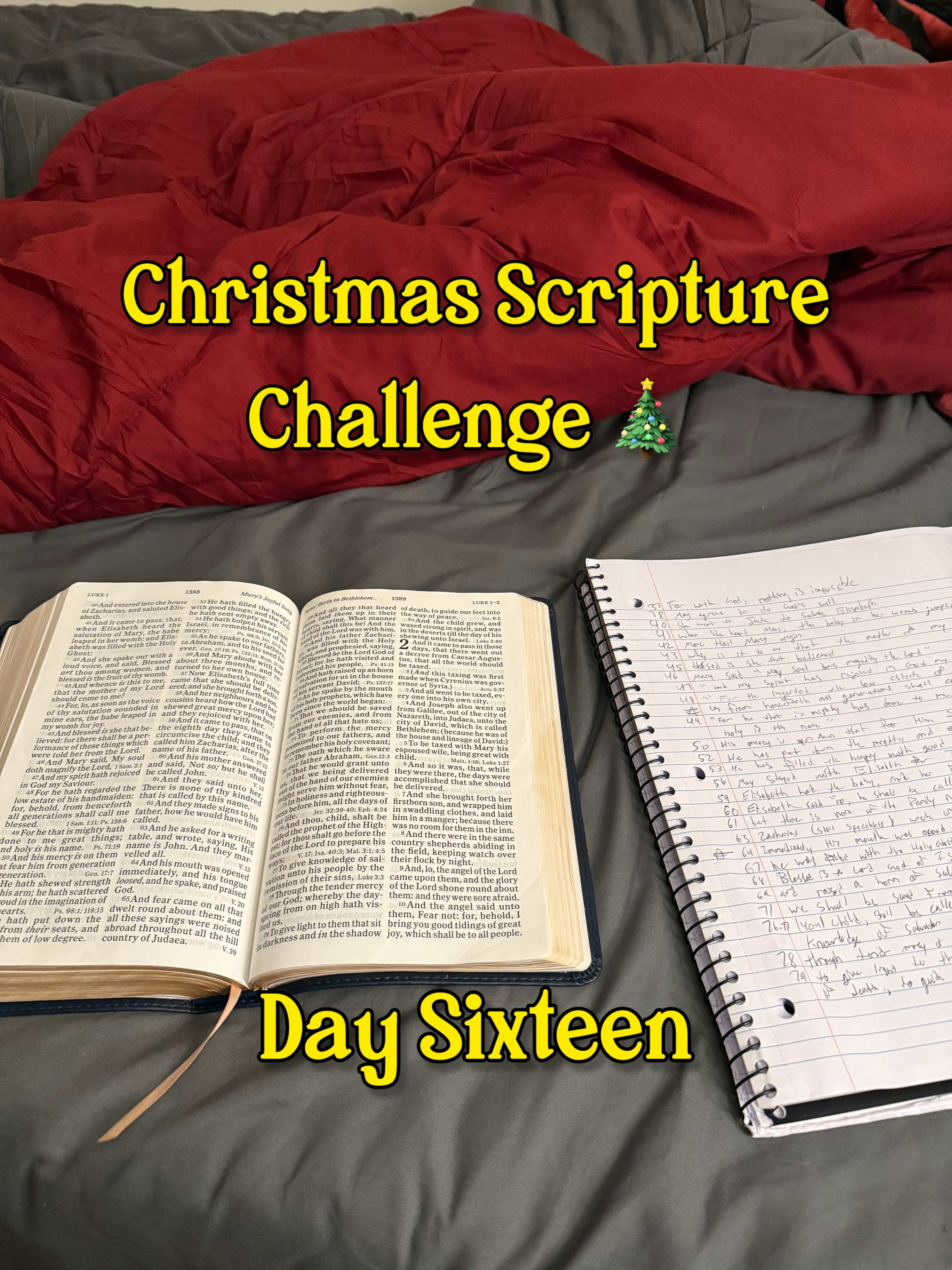 December Scripture Challenge🎄