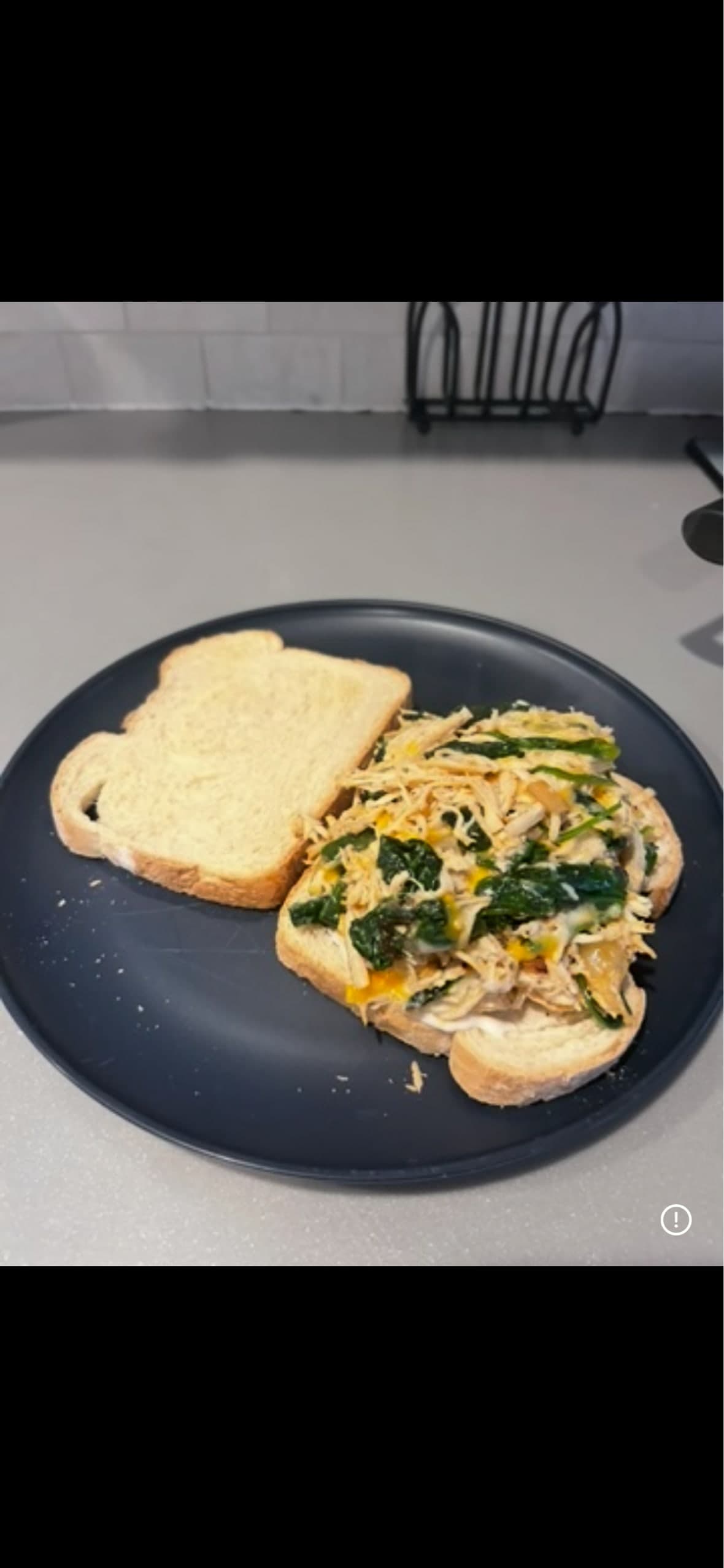 PROTEIN PACKED SAMMY