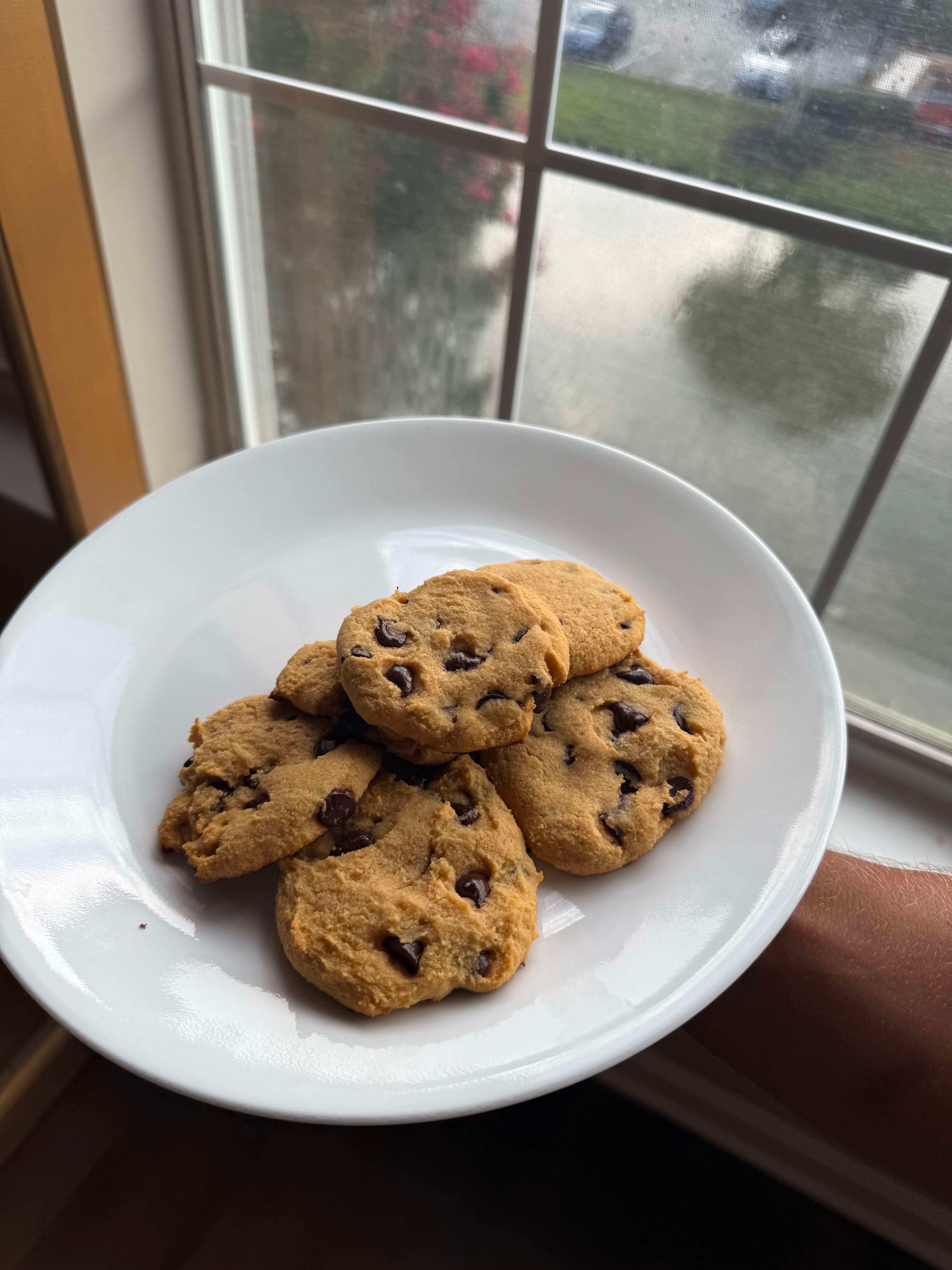 The Healthiest Chocolate Cookies 🍪 😋