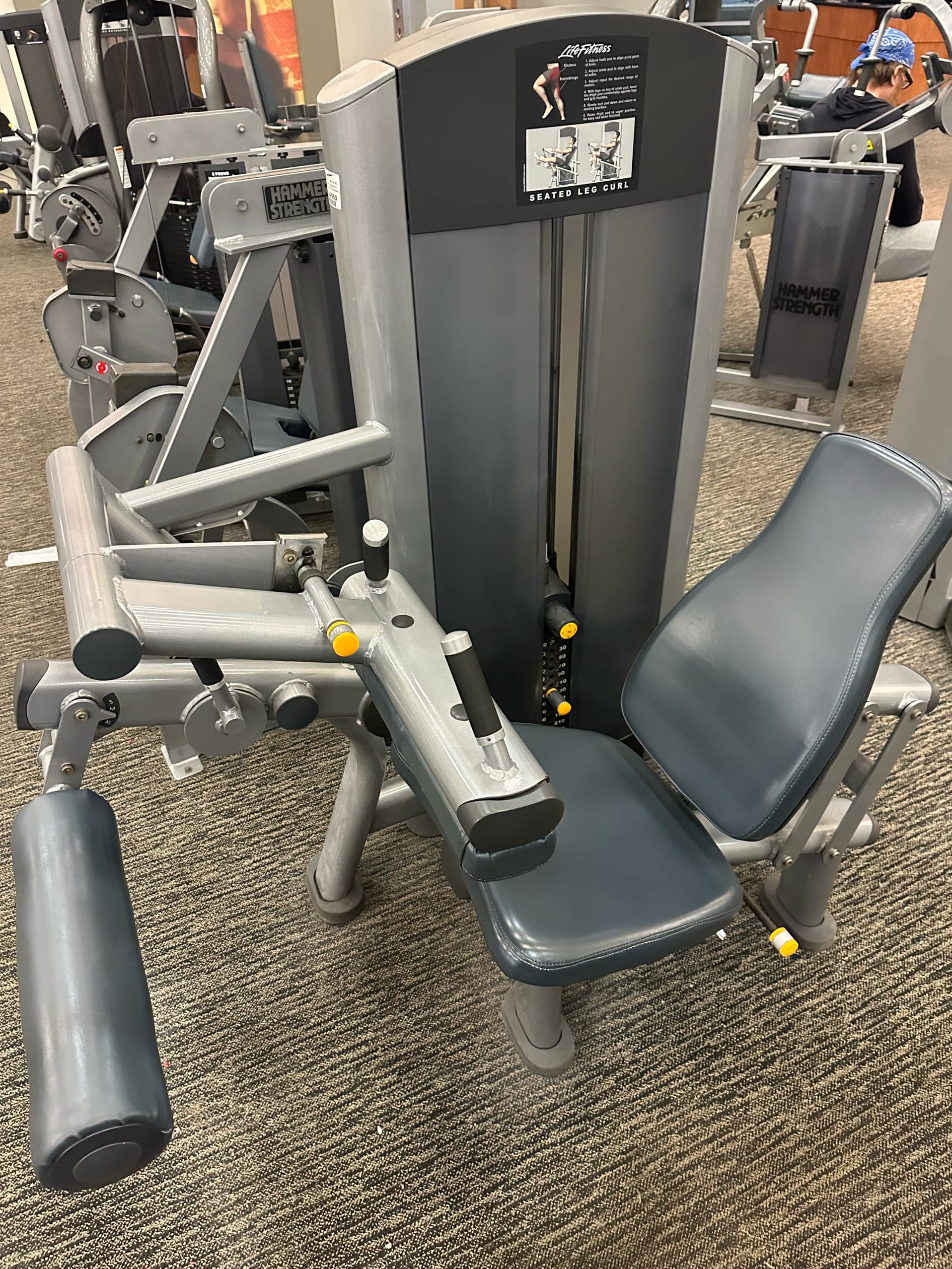 Best Hamstring Exercise