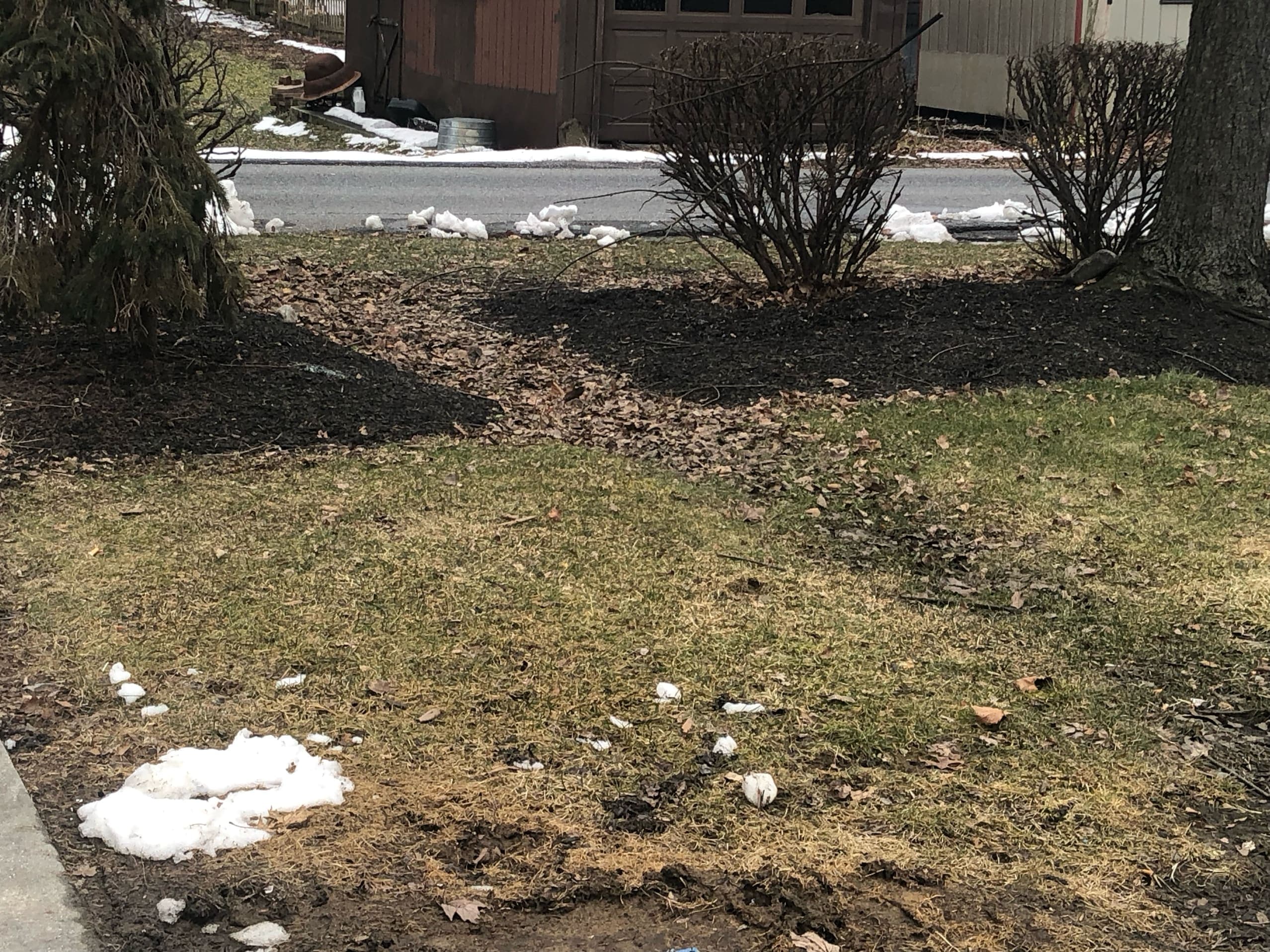 Heavens & Earth We Go!