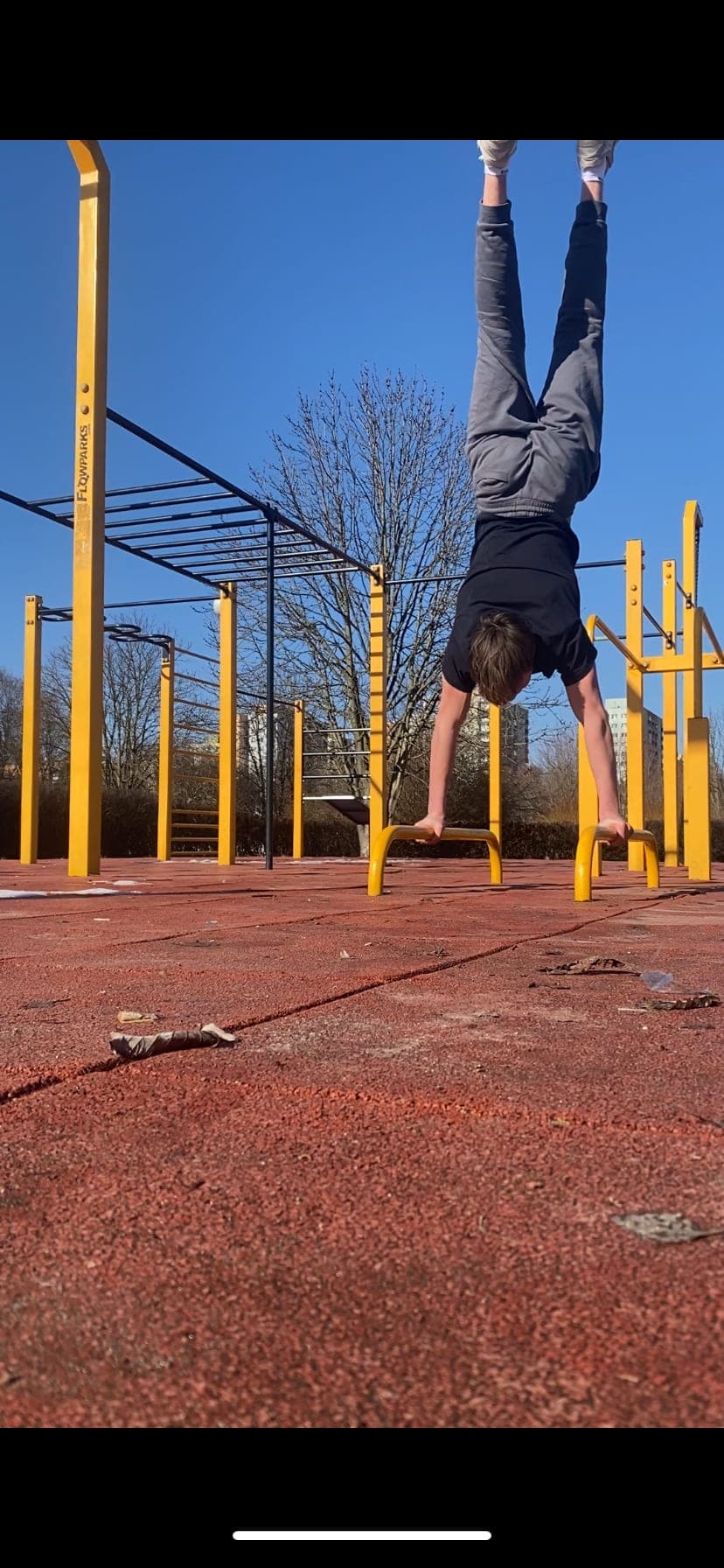 UPPER Calisthenics Workout Programme