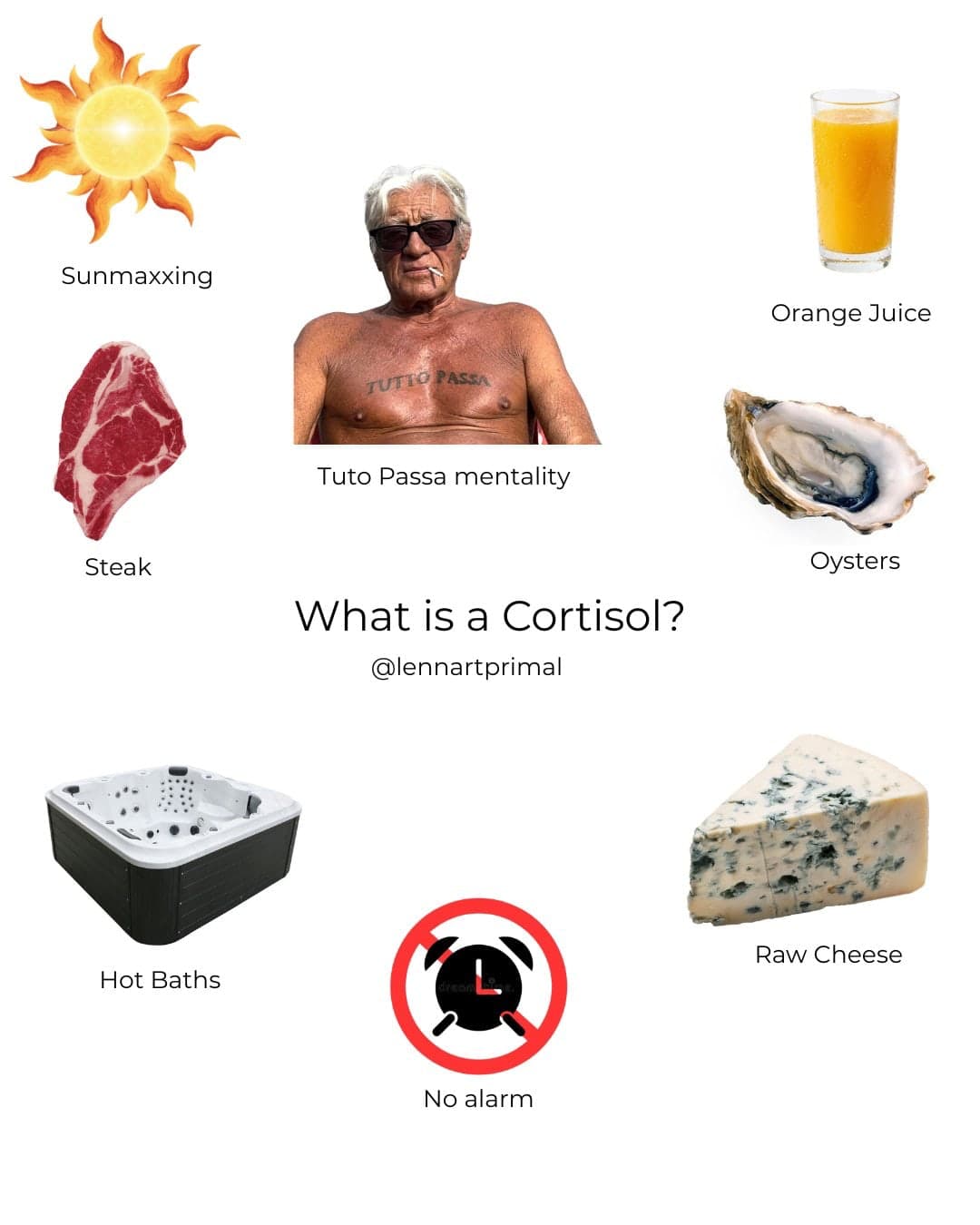 What is a cortisol?