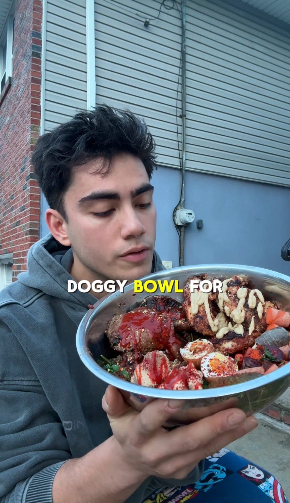 Doggy Bowl