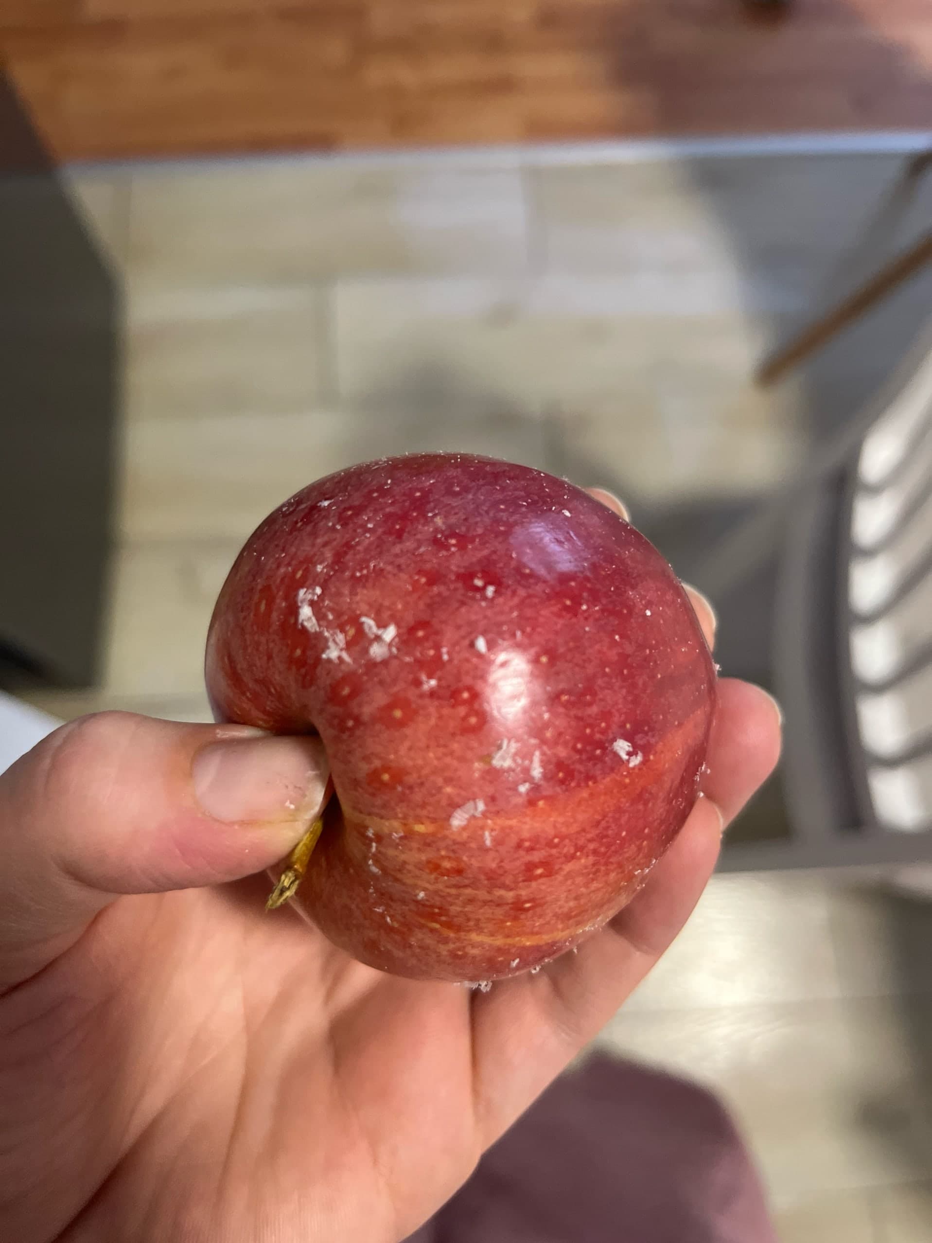 ⚠️ watch this before eating an apple 🍏