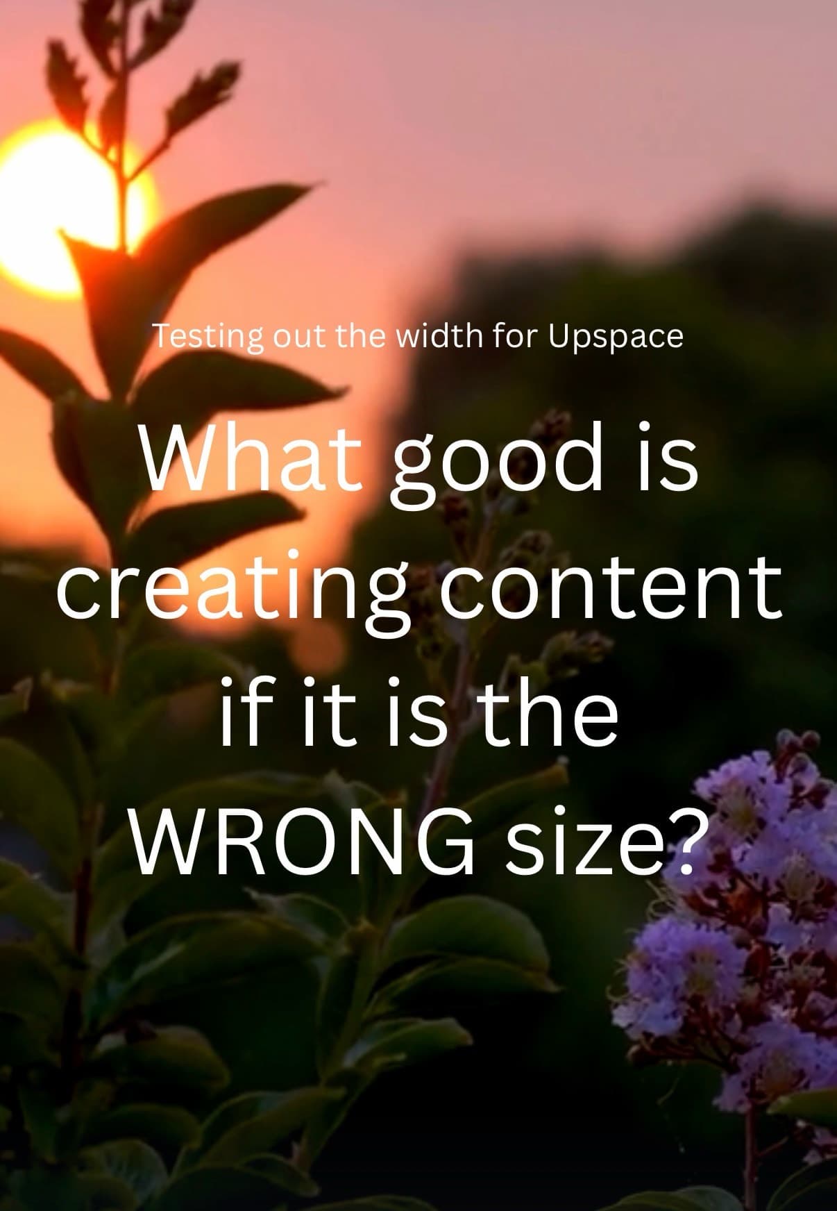 Content Creation