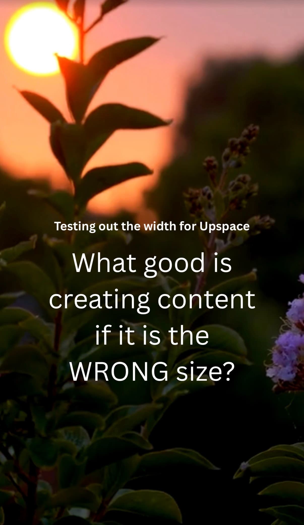 Is this it??? Content creation trials