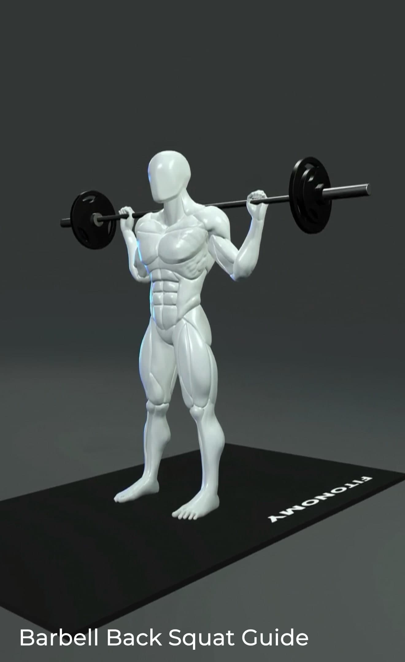 Barbell back squat guide!