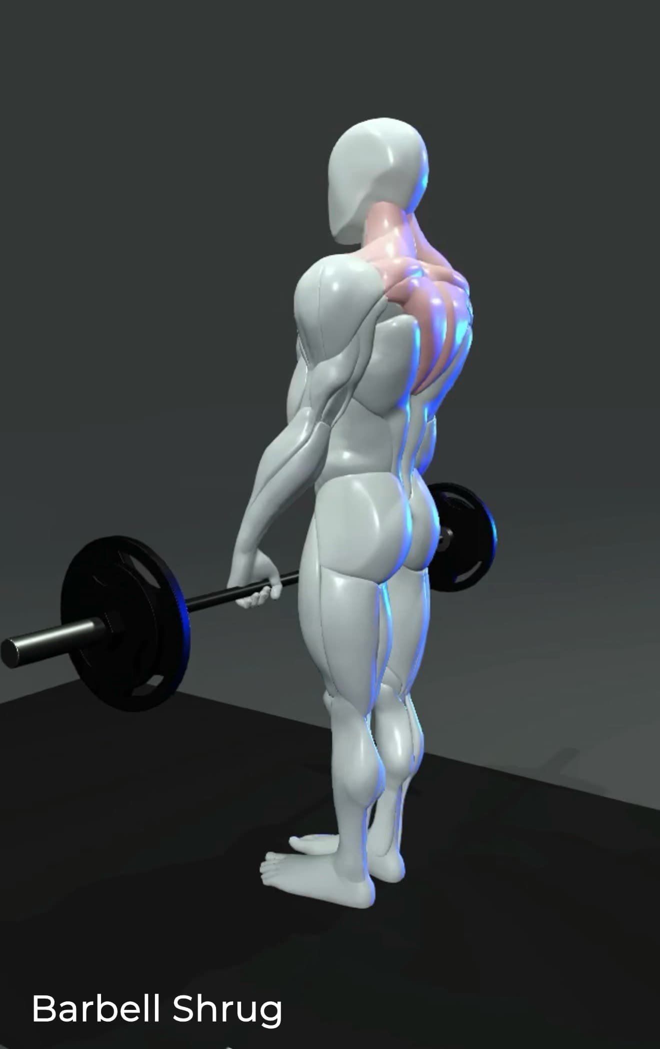 Barbell Shrug Tutorial: Build Bigger, Stronger Traps with Perfect Form š„